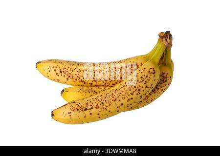 Bunch of yellow ripe bananas with dark brown spots isolated on white background. Stock Photo
