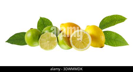 Lemon and lime whole and sliced fruits with leaves, isolated on white background. Citrus fruit group and leaves with water drops. Stock Photo