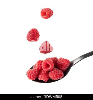 Fresh raspberry berries flying falling on black spoon isolated on white background. Healthy food. Stock Photo