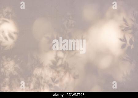 Light and shadow interplay from leaves creates a soft, abstract pattern on a textured wall, showcasing warm tones and natural shapes Stock Photo