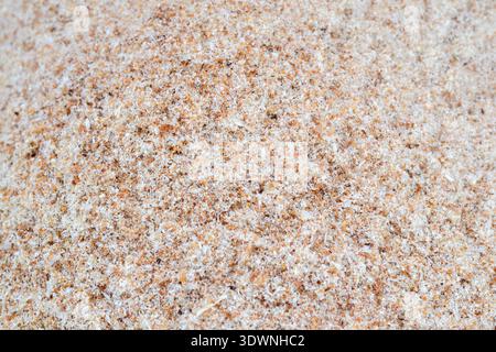 A detailed full-frame background of fresh light brown and orange wood sawdust. The texture shows a mix of fine dust and larger wood particles after ca Stock Photo