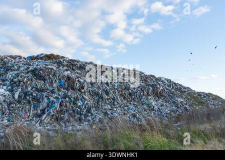 A large mound of trash is visible at a landfill with various types of waste scattered across the surface. Birds are seen flying above in the sky. Stock Photo