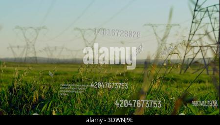 Showing tall green grasses swaying in rural field, with lattice towers, power lines, data overlays Stock Photo