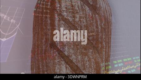 Showing vertical tree trunk in studio, merging with translucent charts, tickers, percentage labels Stock Photo