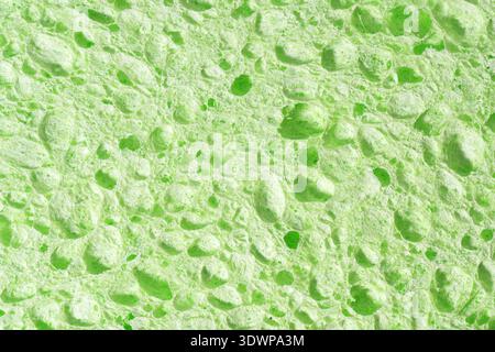 Microscopic View Of Moist Porous Ecofriendly Cleaning Sponge Surface Stock Photo