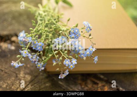 Blue forget-me-not flowers on closed book outdoors Stock Photo
