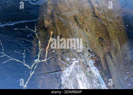 Detailed view of ice crystal patterns and submerged wood on a frozen lake in Alice Lake Provincial Park British Columbia Canada Stock Photo