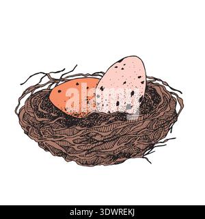 Bird nest with eggs. Easter hand drawn vector illustration, template design Stock Vector