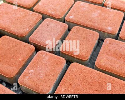 Various red paving stones arranged neatly on a surface in a manufacturing facility during daylight hours Stock Photo