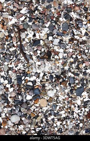 Close-up full frame view of a textured beach surface composed of a diverse mix of smooth, multi-colored pebbles, rough stones, and scattered white and Stock Photo