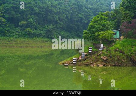 Cherrapunji, India - 28 July 2023: View of a serene lake reflecting the verdant hills and a small green building nestled among the lush foliage. Stock Photo