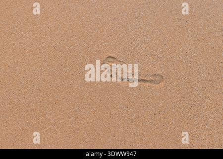 Single human footprint on clean sandy beach surface with natural texture and minimal composition Stock Photo