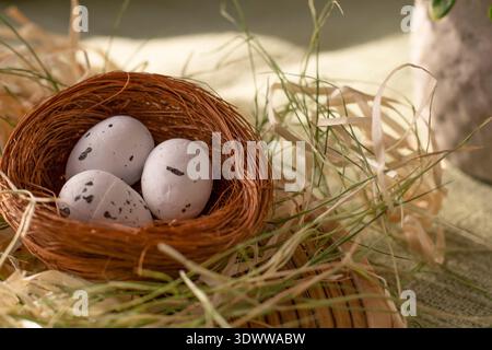 Small natural bird nest with white speckled eggs on straw symbolizing spring renewal and new life Stock Photo