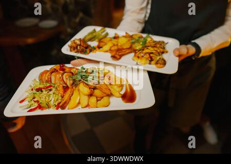 Fried potato and meat roll dishes on a plate Stock Photo