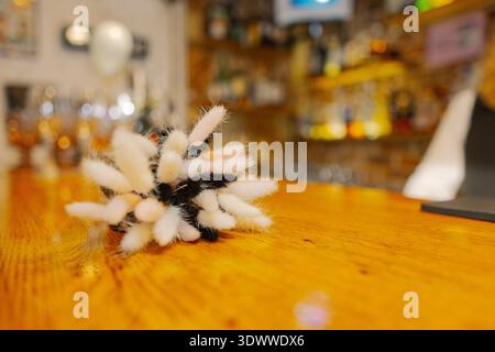 Dried flower Christmas decoration on a bar table Stock Photo