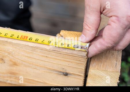 A person uses a tape measure to measure wooden planks for a construction project in a home workshop. The workspace natural light enhances the wood's t Stock Photo