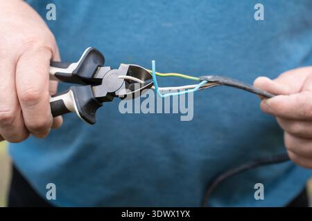Hands hold nippers, cutting through blue and yellow wires while preparing electrical connections. The setting suggests a DIY project in a residential Stock Photo