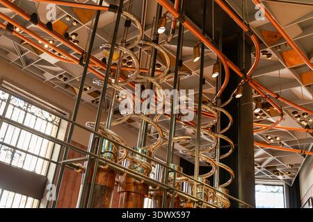 Industrial coffee transport mechanism highlights the journey of beans in a specialty roastery, blending technology and visual appeal. Stock Photo
