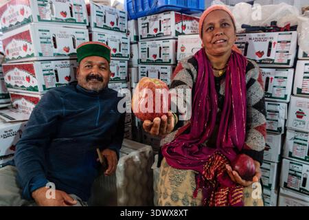 In an indoor facility in Roghi, two workers present red Royal apples while sitting in front of many stacked cardboard boxes ready for shipment. Kinnau Stock Photo