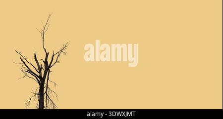 White background with tree silhouette.A beautiful dry tree on a white background. Lonely old and dead tree. Stock Photo