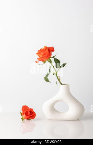 Single natural coral orange rose flower in modern donut shape vases against white wall on glass table. Home interior plants decoration. Stock Photo