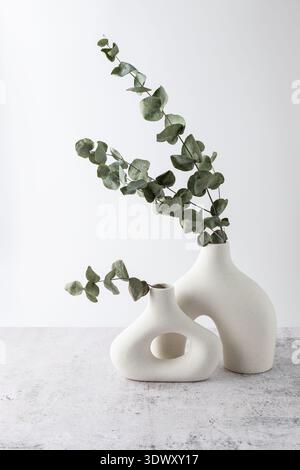 Natural dried green eucalyptus plant twigs in modern donut shape vases against white wall on grunge stone table. Home interior plants decoration. Stock Photo