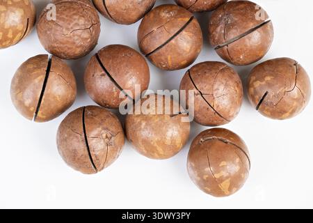 Close up macadamia nuts in shell, tight cluster showing cracked seams, matte brown shells, coarse texture, clean white background, gourmet ingredient Stock Photo