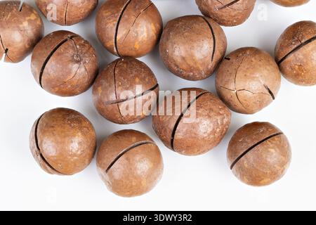 Macadamia nuts ingredient for baking presentation, raw shells arranged on white, visual for recipe, pastry or bakery concept with neutral light Stock Photo