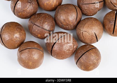 Closeup macadamia nuts in shells close cluster textured brown shells with fissures, natural rustic feel, soft studio light, food styling for gourmet b Stock Photo