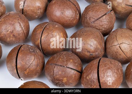 Close view of freshly harvested macadamia nuts on farmhouse table. Rustic farm scene showcasing sorted macadamia nuts on natural table surface with li Stock Photo