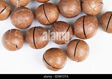 Scattered macadamia nuts on white, isolated arrangement with varied shell tones, sharp focus and negative space, recipe and ingredient concept Stock Photo