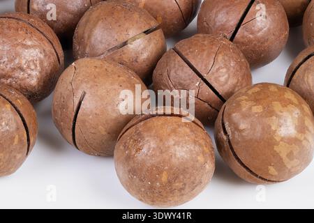 Closeup macadamia nut shells on white background, cracked round shells with rough texture, warm brown tones, powdery bloom, dense composition, studio Stock Photo