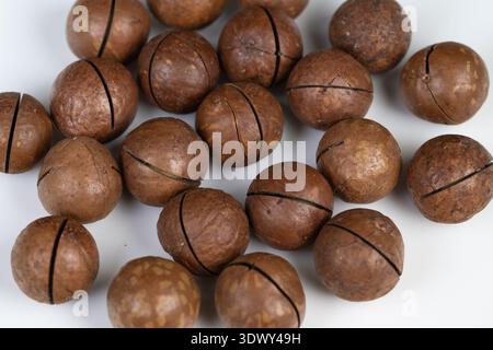 Closeup macadamia nut shells on white, even light, warm brown tones, round kernels with visible seam, ideal for product listings and ingredient photog Stock Photo
