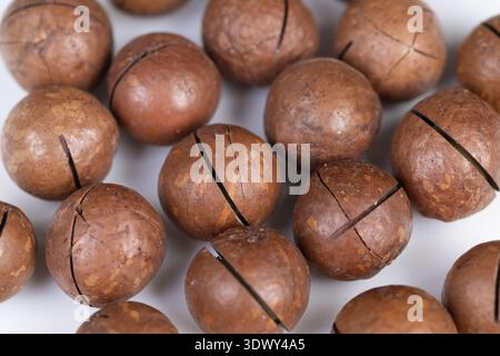 Scattered macadamia nuts evoking harvest scene, earthy shells, tactile surface, farmhouse palette, suitable for food editorial and packaging mockups Stock Photo