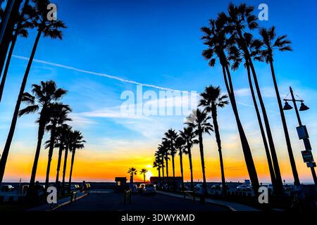 Intense sunset colors glow behind silhouetted palm trees along Santa Monica and Venice Beach in California Stock Photo