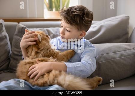 Boy sitting on sofa at home with ginger Persian cat Stock Photo
