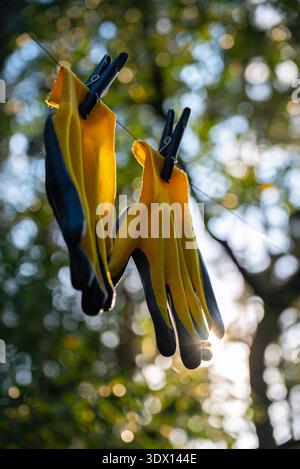 Yellow garden gloves tools dry on rope on greenery outdoor background during sunset. Spring summer gardening season. Concept of hand care hygiene and protection. Copy space Stock Photo