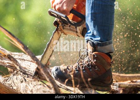 A chainsaw in the hands of a man sawing dry tree trunks for firewood close-up Stock Photo