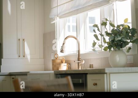 Sunlit kitchen window above farmhouse sink with brass faucet and indoor plants in a bright modern residential kitchen. Stock Photo