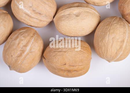 Packing walnuts in shells for bulk orders, neutralstyled image implies sorting and packaging stage for wholesale supply, commerce and food distributio Stock Photo