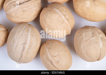 Natural textured walnuts photographed closely for display. Highquality image featuring walnuts in shells on smooth white background for online catalog Stock Photo