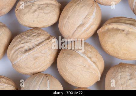 Pantry walnuts in shells piled loosely, natural daylight on white surface conveys storage, bulk supply and everyday kitchen ingredient ready for use i Stock Photo
