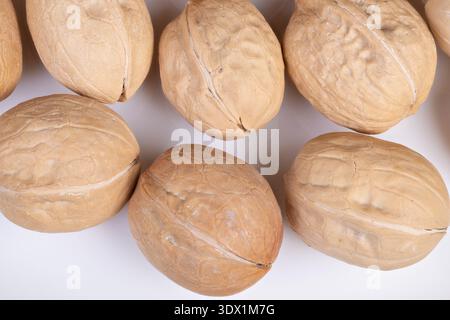 Group of shelled walnuts resting on tidy kitchen counter. Assorted walnuts in shells arranged on clean countertop with warm lighting and rustic appeal Stock Photo