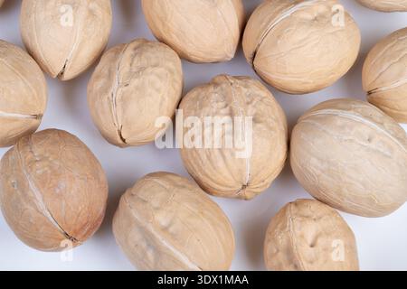 Shelled walnut presentation with even spacing and size consistency. Walnuts in shells meticulously arranged for attractive online retail catalog appea Stock Photo