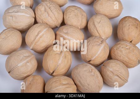 Assessment process conducted on walnuts in shells for quality standards. Laboratory examination and grading of walnut shells for quality assurance pur Stock Photo