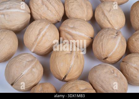 Textured walnut shell design with shadows and earthy hues. Pattern featuring walnuts in shells with consistent shapes shadows on earthy themed backgro Stock Photo