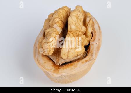 Nut kernel detail suitable for culinary use. Showcasing highquality walnut kernel pieces with warm tone and detailed surface for culinary applications Stock Photo