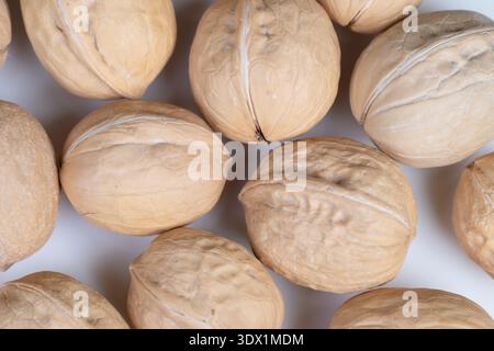 Macro walnuts in shells market composition, piled stock evokes farmer market stall or pantry bulk, earthy palette and tactile surfaces convey authenti Stock Photo