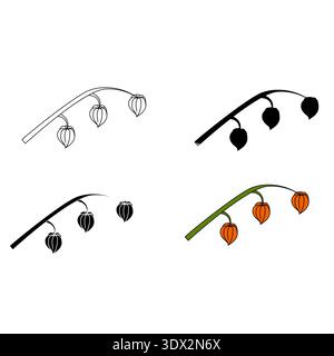 Physalis branches in various styles. Vector illustration isolated on white background. Stock Vector