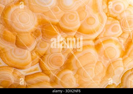 Elegant brown onice background for your awesome design view. Stock Photo